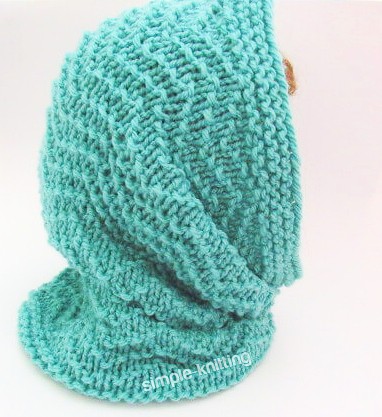 Seedy Chevron Hooded Cowl Scarf back view