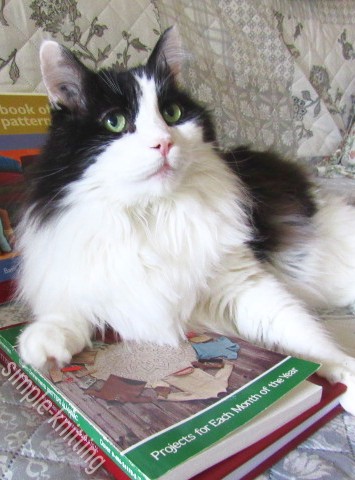 knitting books and oscar