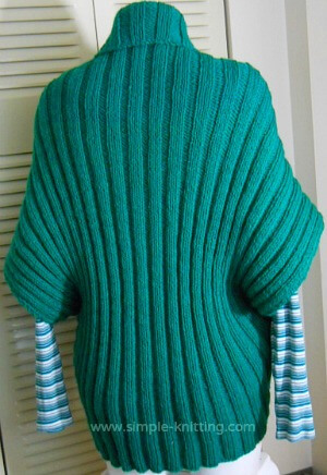 Turtleback Sweater Back View